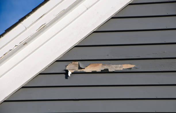Affordable siding repair and maintenance services in Santa Venetia, CA